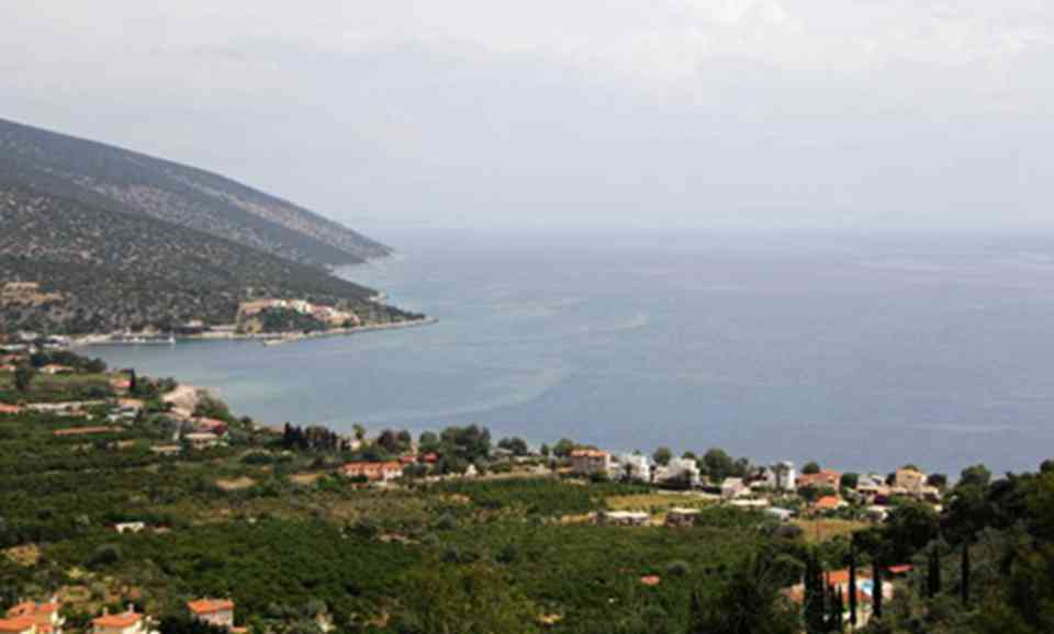 ��Ƥ��³˹��ַ���������Ῠ�����ϰ�