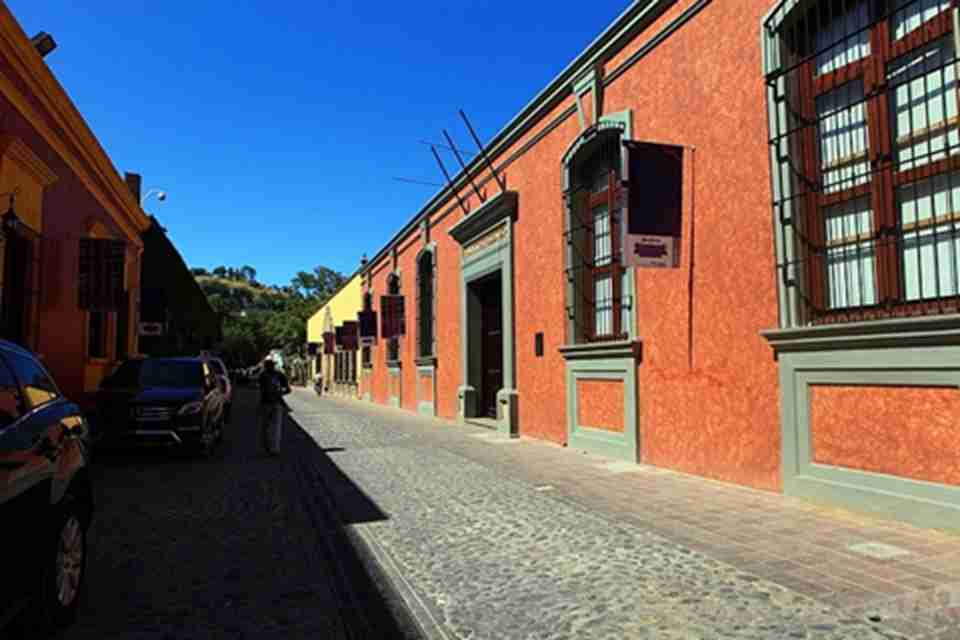 �ػ�����Ϊī�����һ��С�ǣ���ʢ��ī���������ɫ��ֲ������������