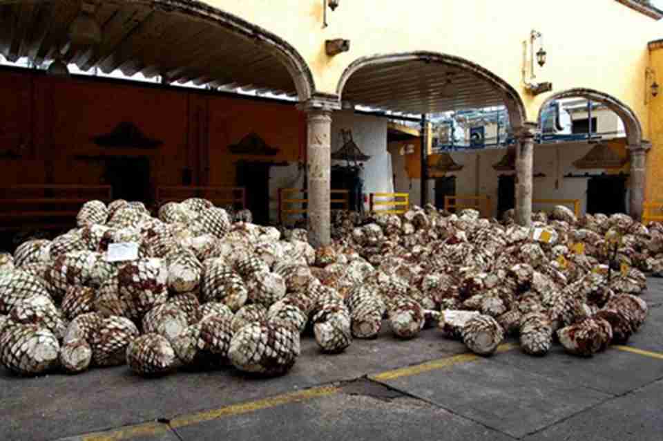 ���ʱ���뽫�������м����Ʋ��ܵĺ���Բ����ժ����