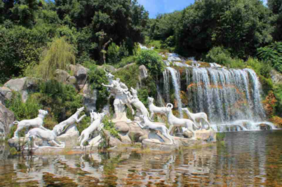 ϸϸ��С�ٲ���������Ⱥ��