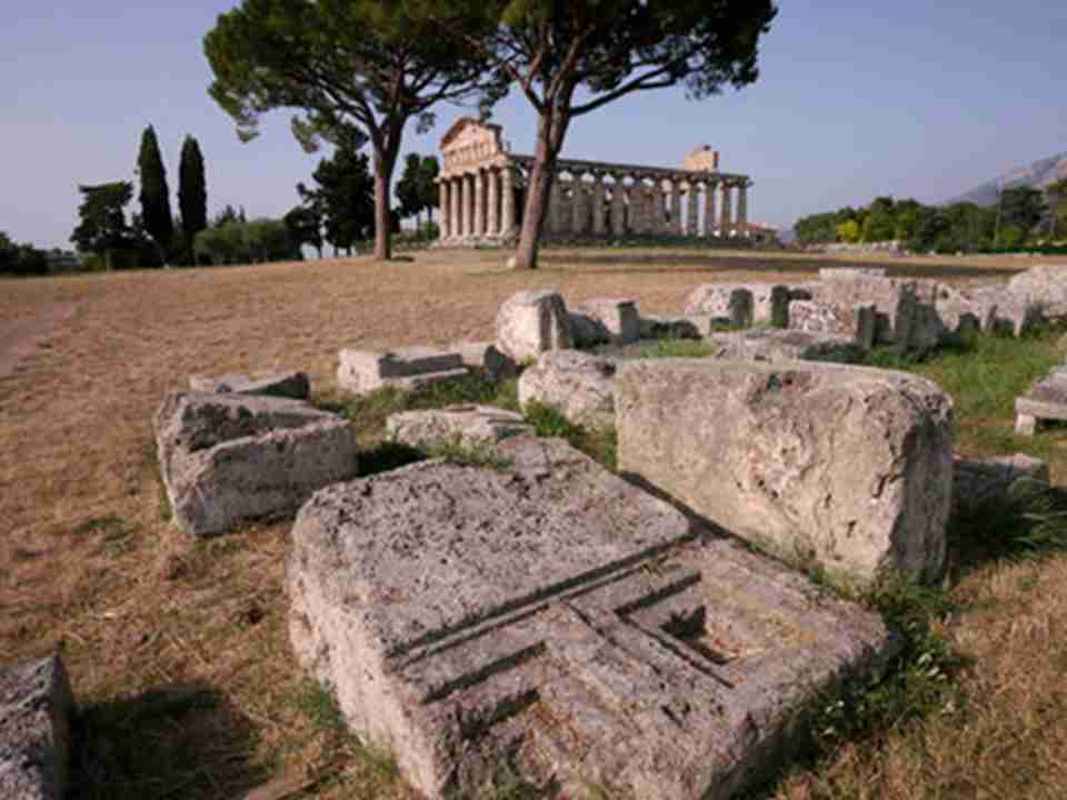 �����е�����һ���������Ļ���ʤ