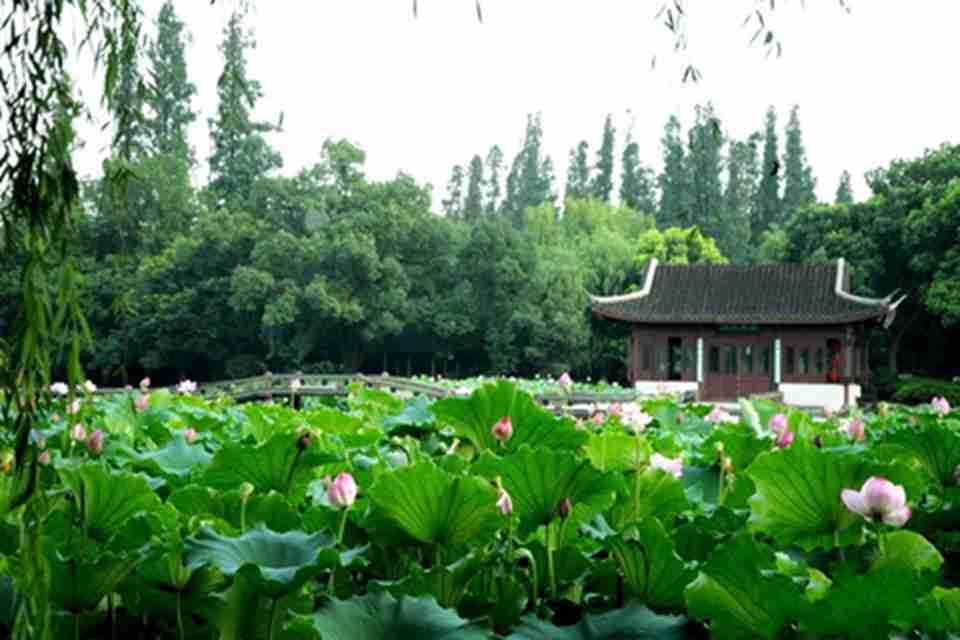 ɽˮ����֮��,��������֮ʤ