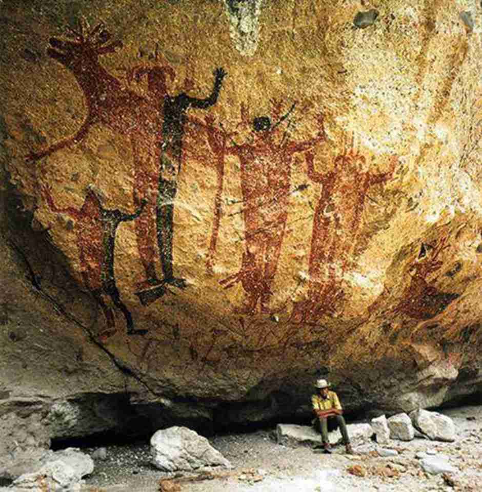 ��Щ�һ������������������ֶ��չʾ�������뻷���Ĺ�ϵ