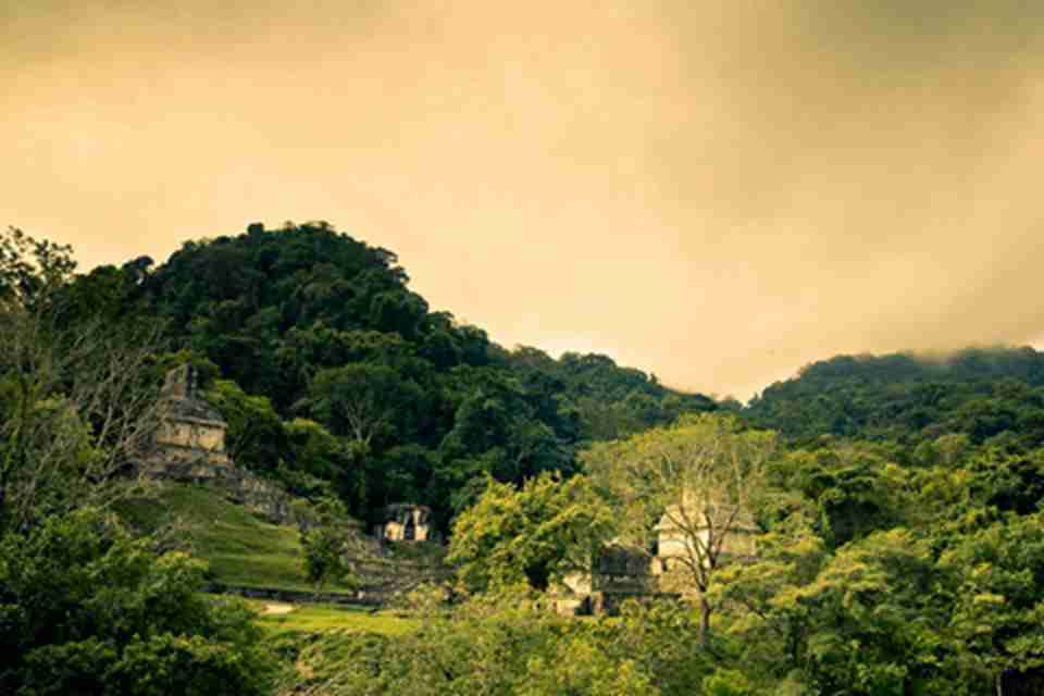 �Ŵ����������׿�����������9�������ͣ��������׵Ĺ��Ͻ�����çç�ȴ���������û