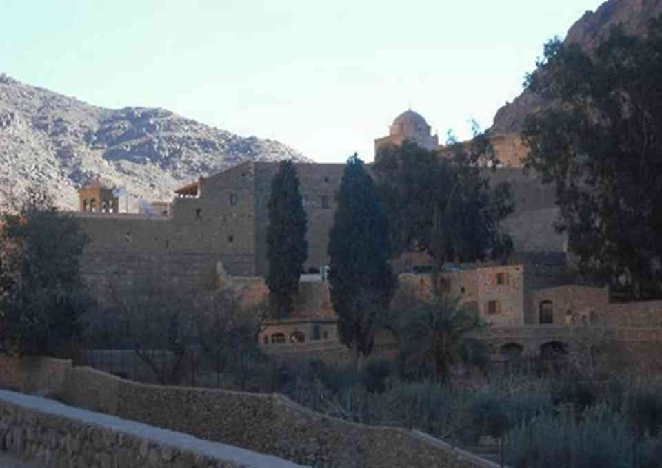 �޵�Ժ���ڵĵ���ɽ�͸߾�