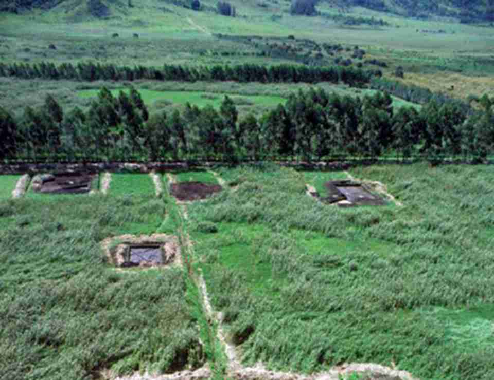 ����ũҵ�ż���һƬռ��116����������