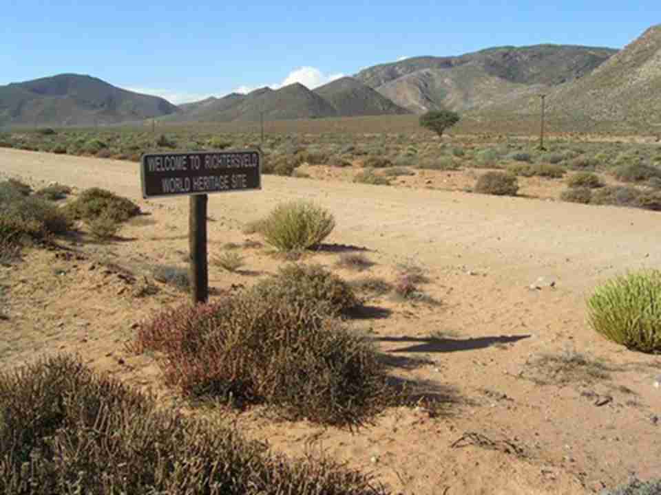 �����˹ά���Ļ�ֲ�ﾰ��λ���Ϸ�������