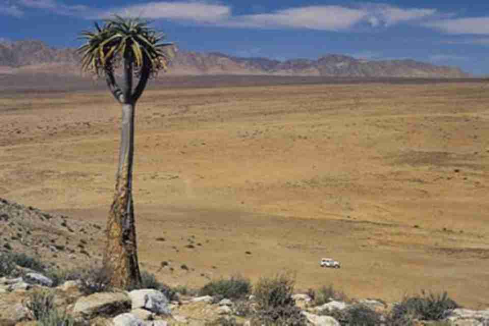 �����˹ά����һƬ�ɸ�ɽ��Ͽ�ȹ��ɵĶ�ɽ��Į