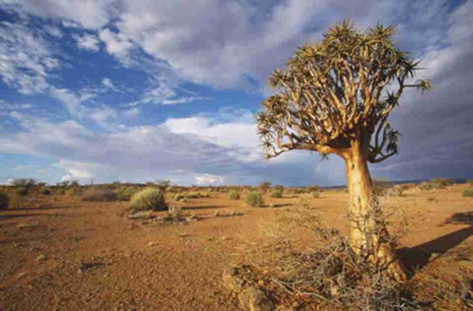 �����˹ά����ƽ̹��ɳ��ƽԭ������ȫ��ͬ