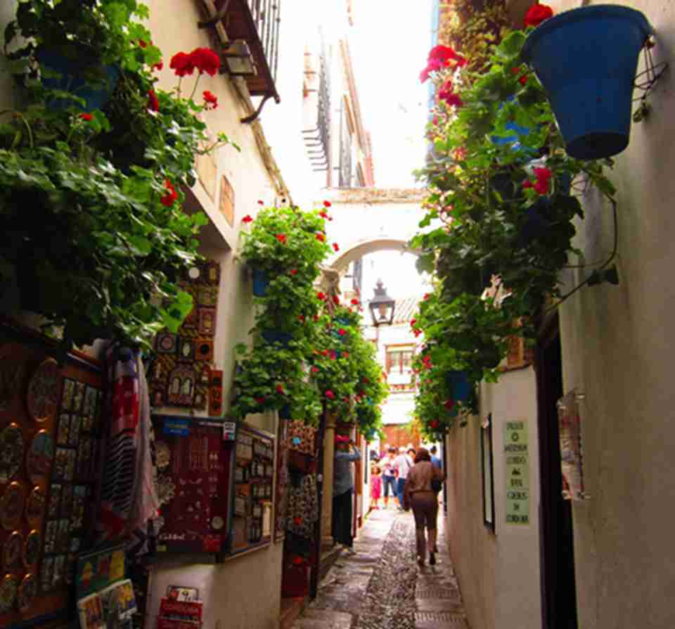 �ƶ�������ʷ���ı����������͵Ĺ滮�ͽֵ���խ�����ز���