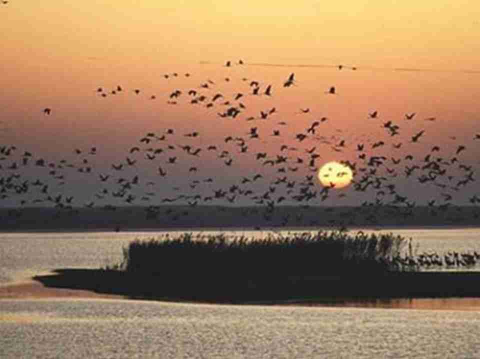 ��԰��ˮ��������Ҫ���ܾӵ�