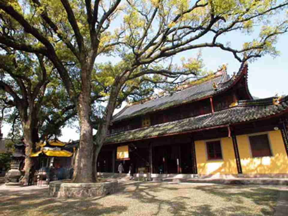 �������ڽ���ս��֮�󣬿�ʼרע���������������