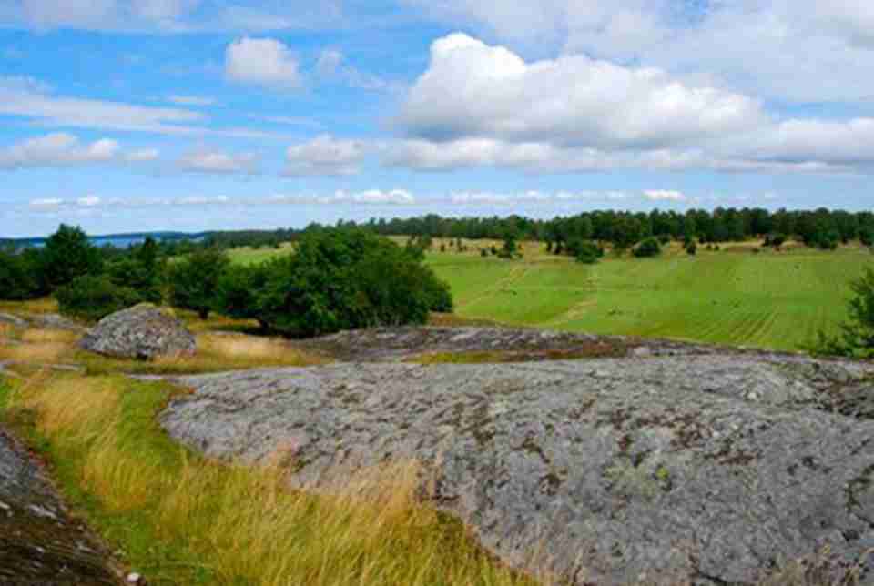 �ȶ����ͻ���ӵ�����������÷���׺������ڵıȶ������Ͱ��¶�˹����