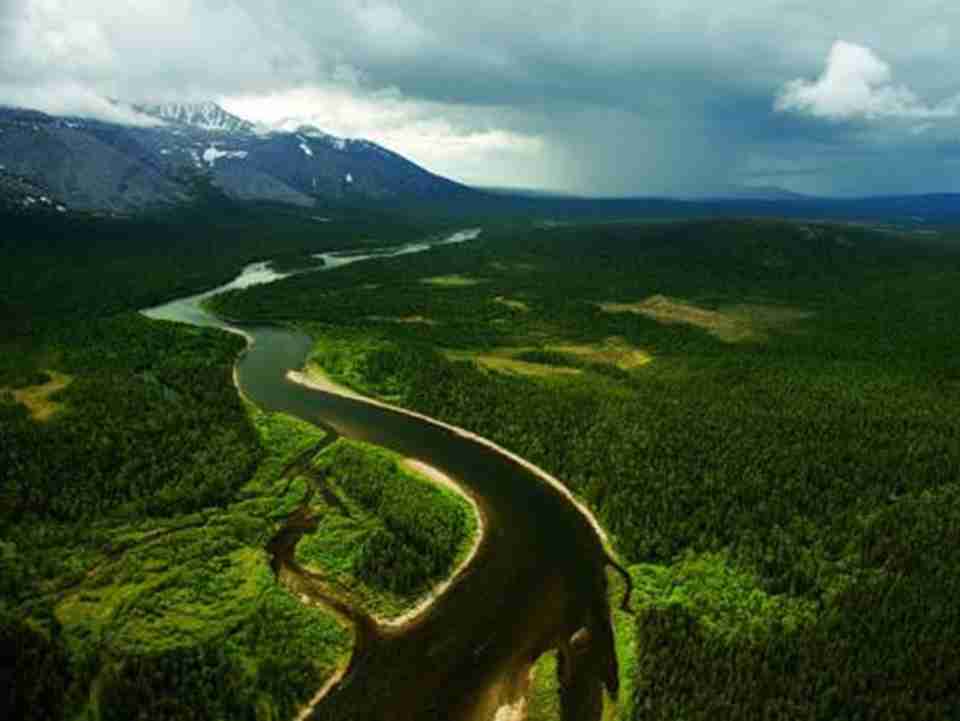 ����ԭʼɭ������������ɭ��֮һ����ŷ������ԭʼɭ�֡�