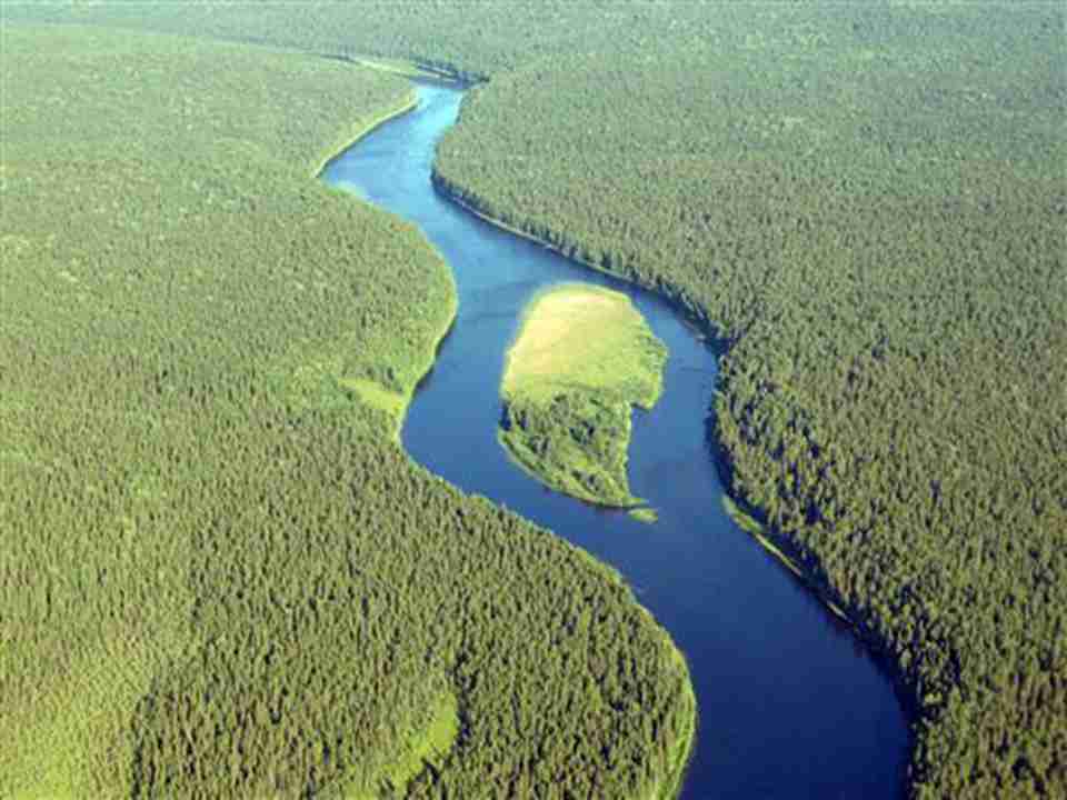 ɭ�ֶ�����������������ɽ���ܲ��ɷ֣���ɽ��������һ���ĵ��͵�������