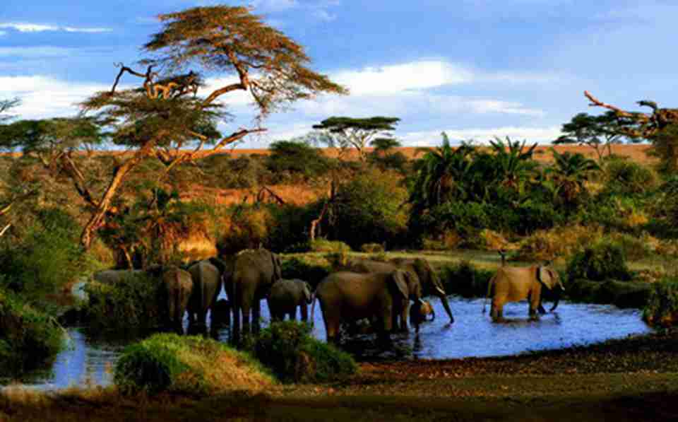 ���׸ǵٹ��ҹ�԰