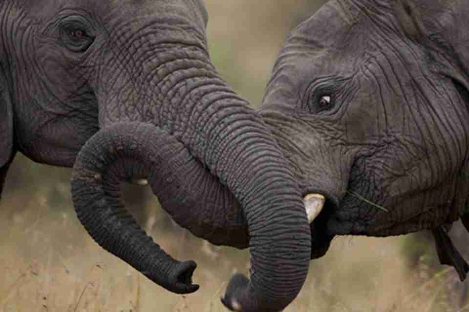 ��������Ķ���