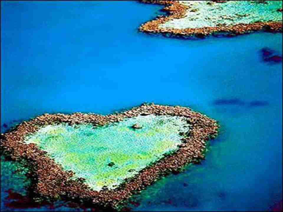 �󱤽������ε�