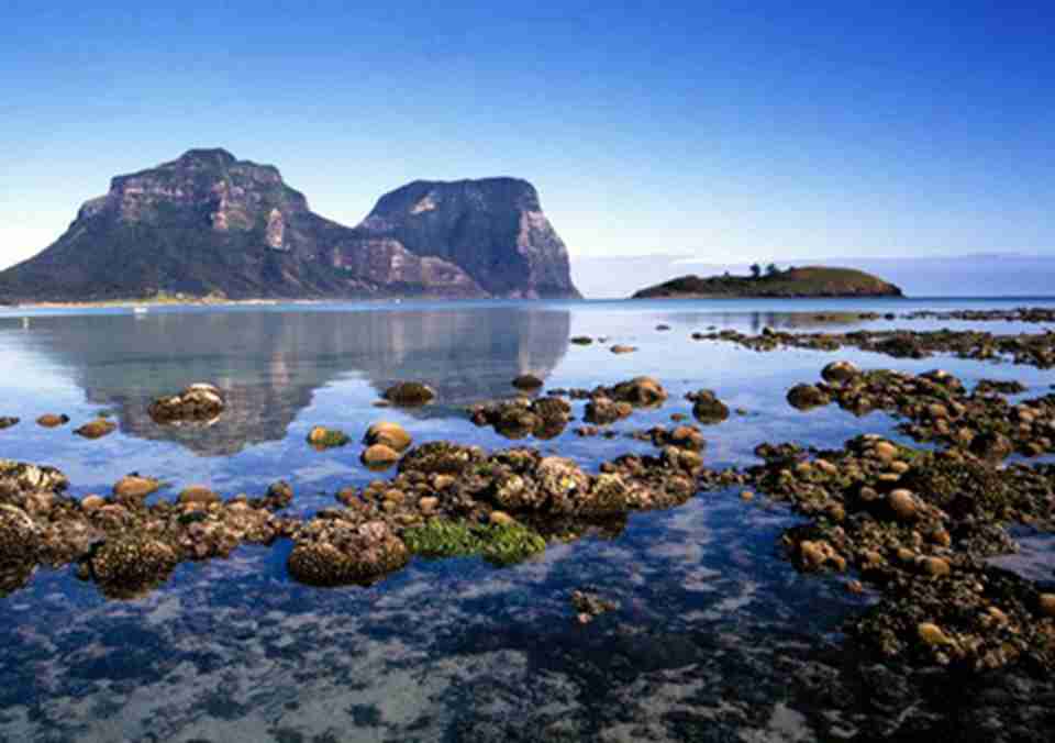 ���춫��ĺ�����׳����������Ϣ