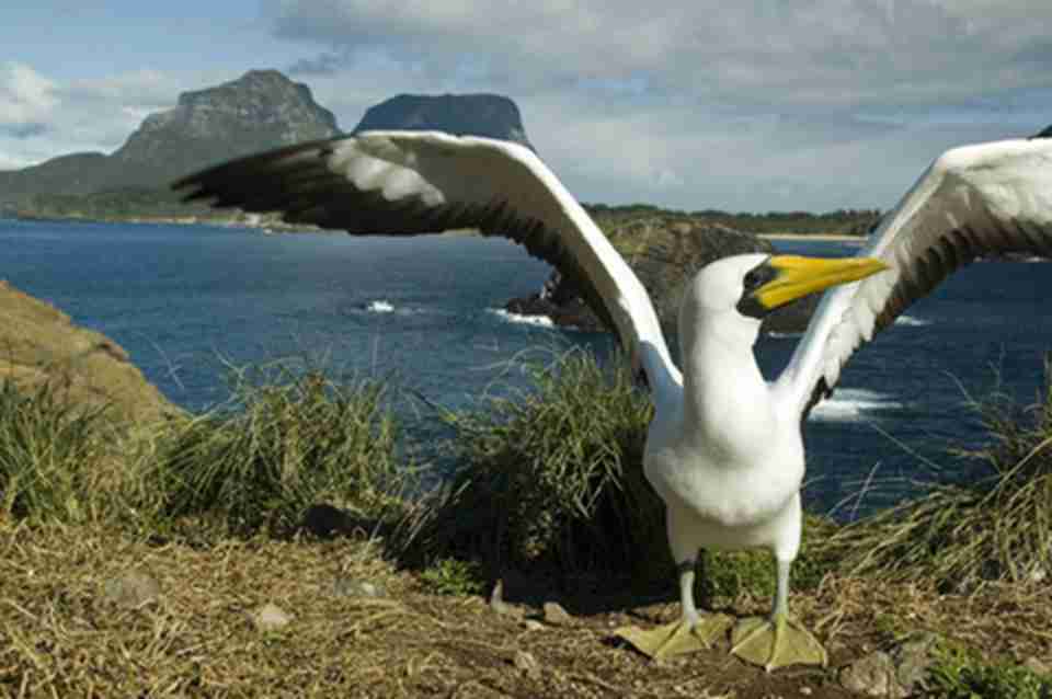 ����������һ���ر��������񣬽�ϲ��ȵ