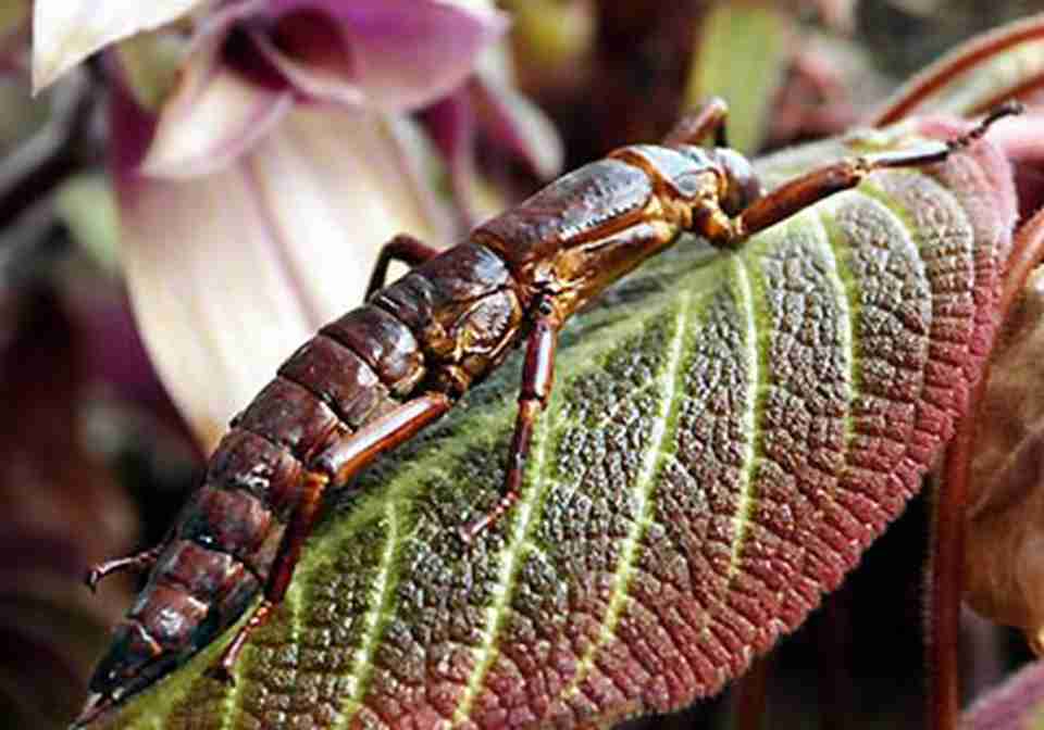 ���ϵ�һ�����е�����