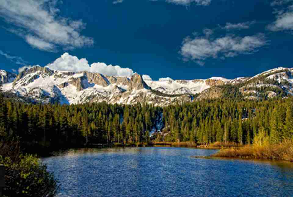 �������°¹��ҹ�԰���ˮ��ֲ��Ӧ�о���