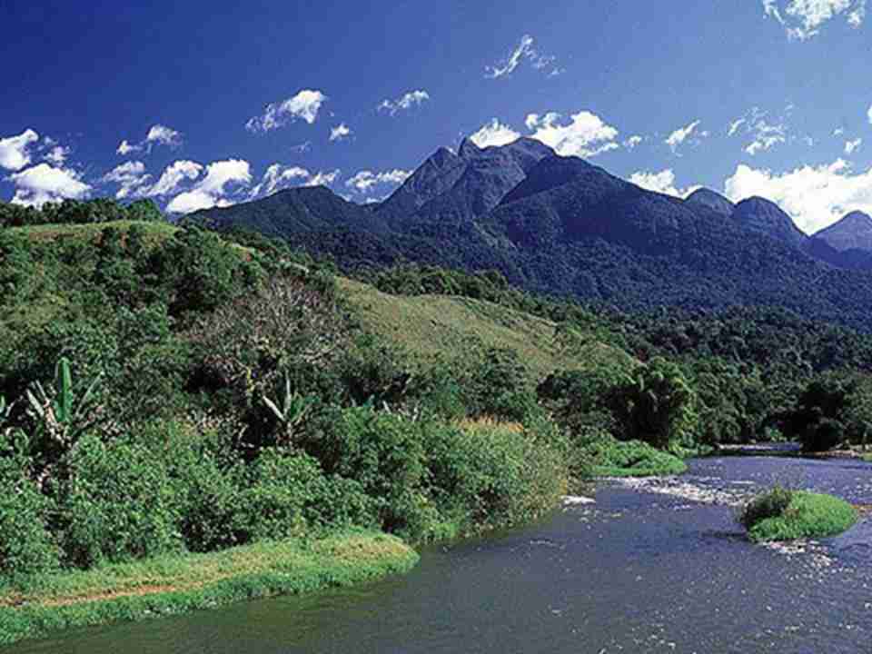 ���������ȴ����ֱ����������������Ų�