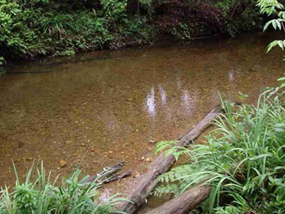 ���������ȴ����ֱ������ǵ���������ϵĵײ�