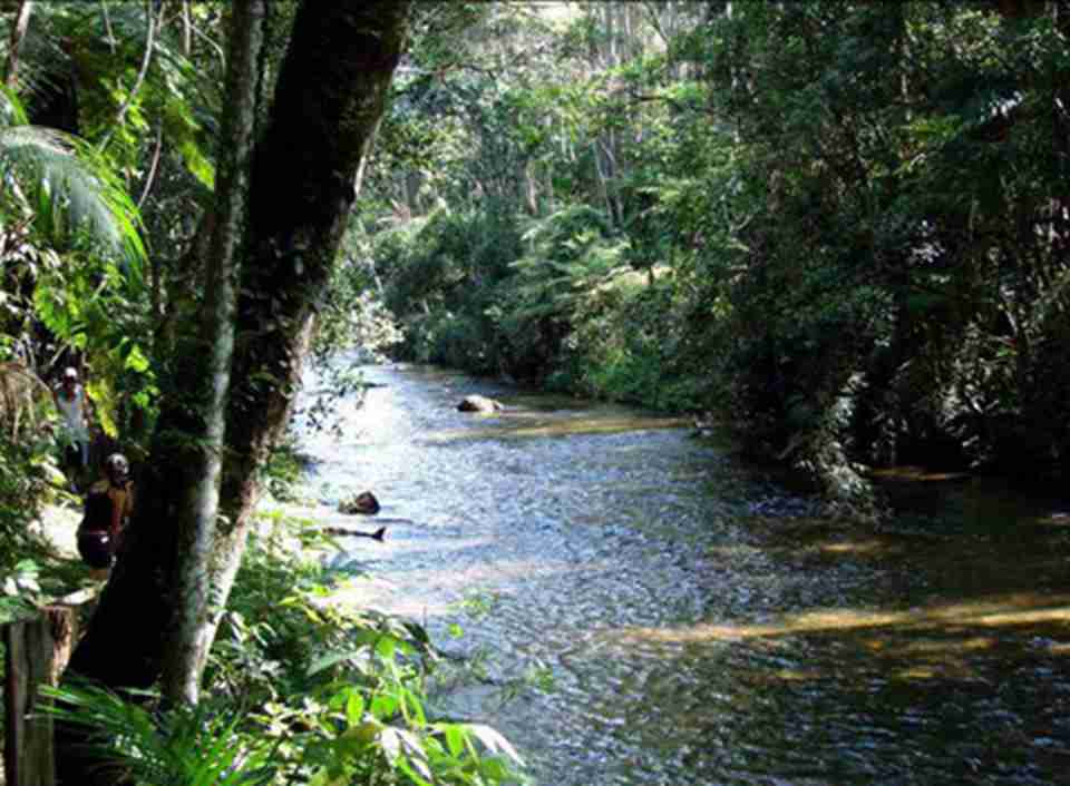 ���������ȴ����ֱ����������ȴ�ʪ������