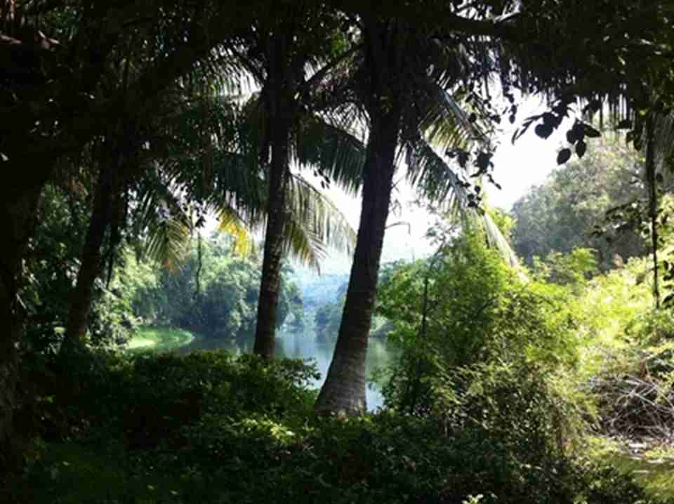 �ȴ����ֲ�������������Ҳ������