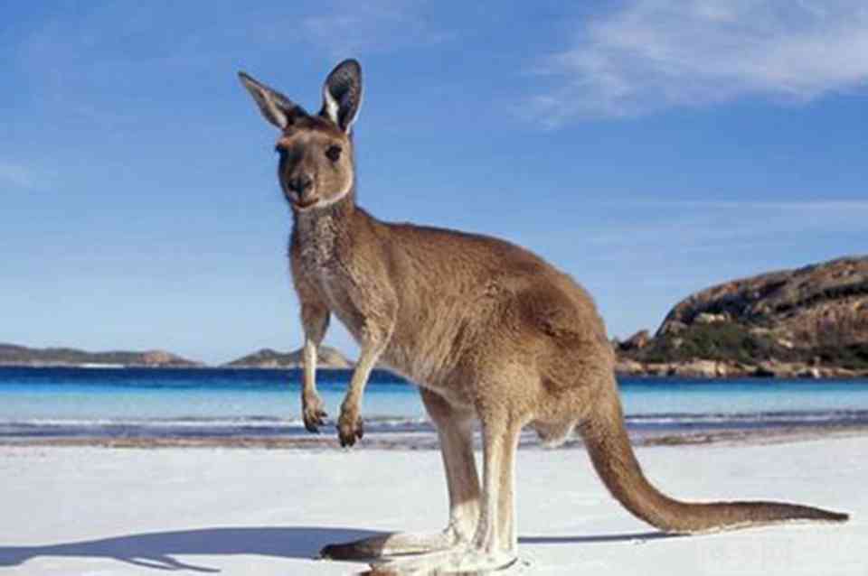 �����ܣ������������ǰĴ��������ص���ϡԭʼ���ܶ�����д�������