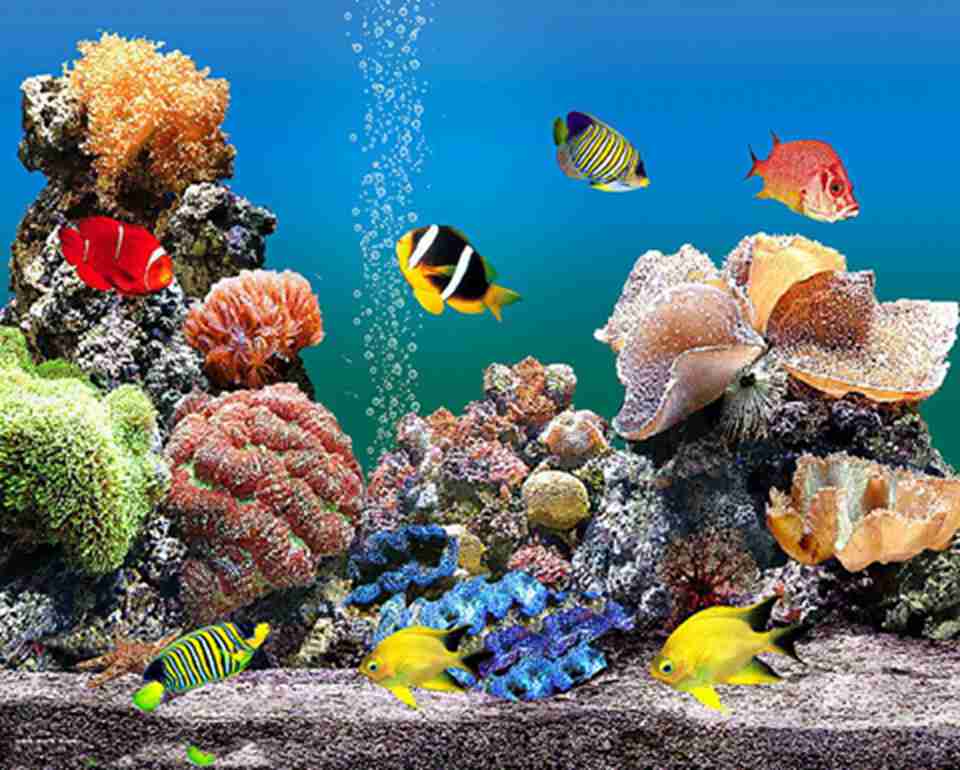 ɫ�ʰ�쵵��ȴ���