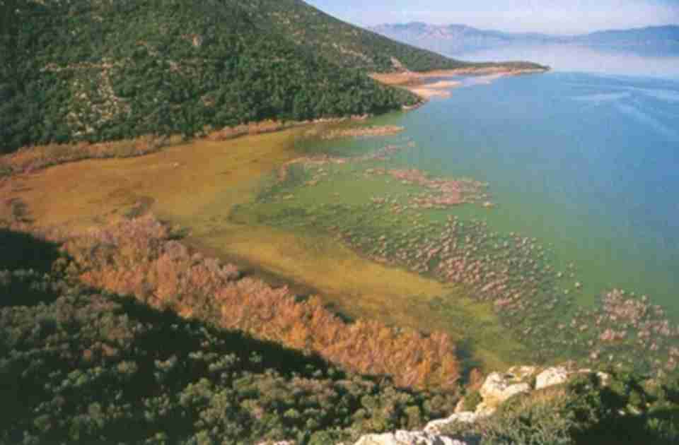 ������ڶ����ҹ�԰