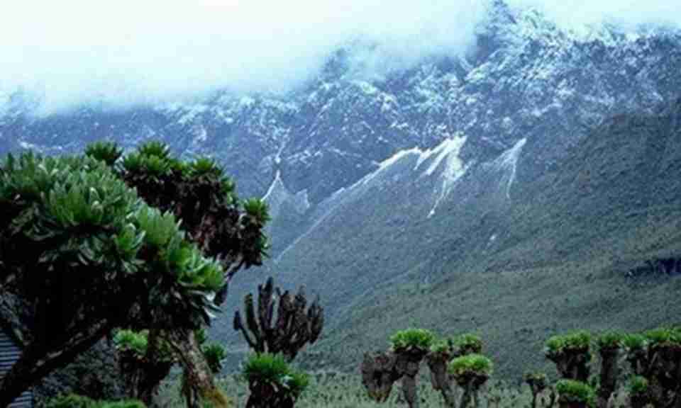 ������ڶ����ҹ�԰