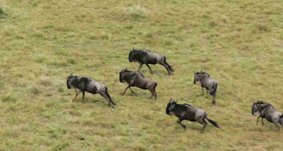 ������ڶ����ҹ�԰