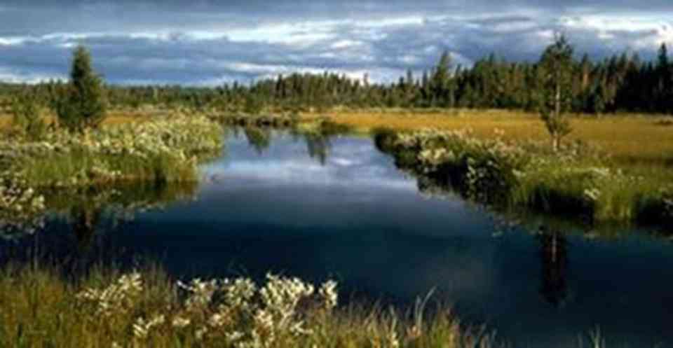 ������ڶ����ҹ�԰