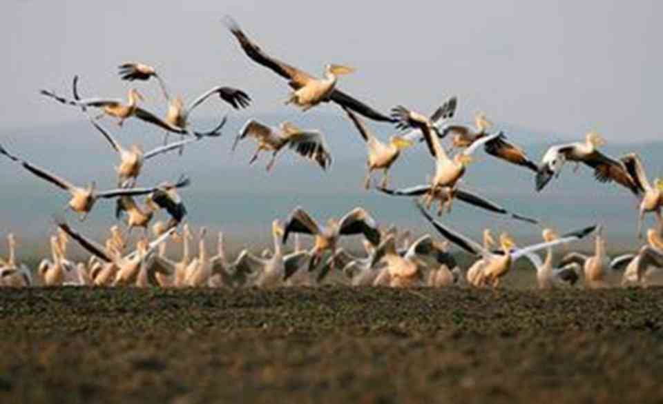 ��觺��Ͽշ��������