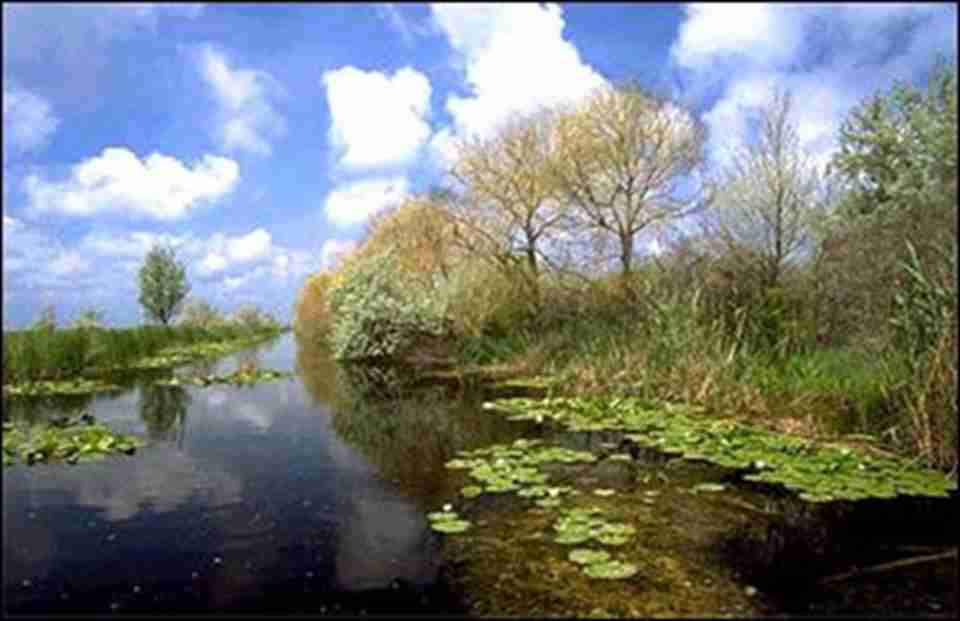 ��觺������޺ӵ�