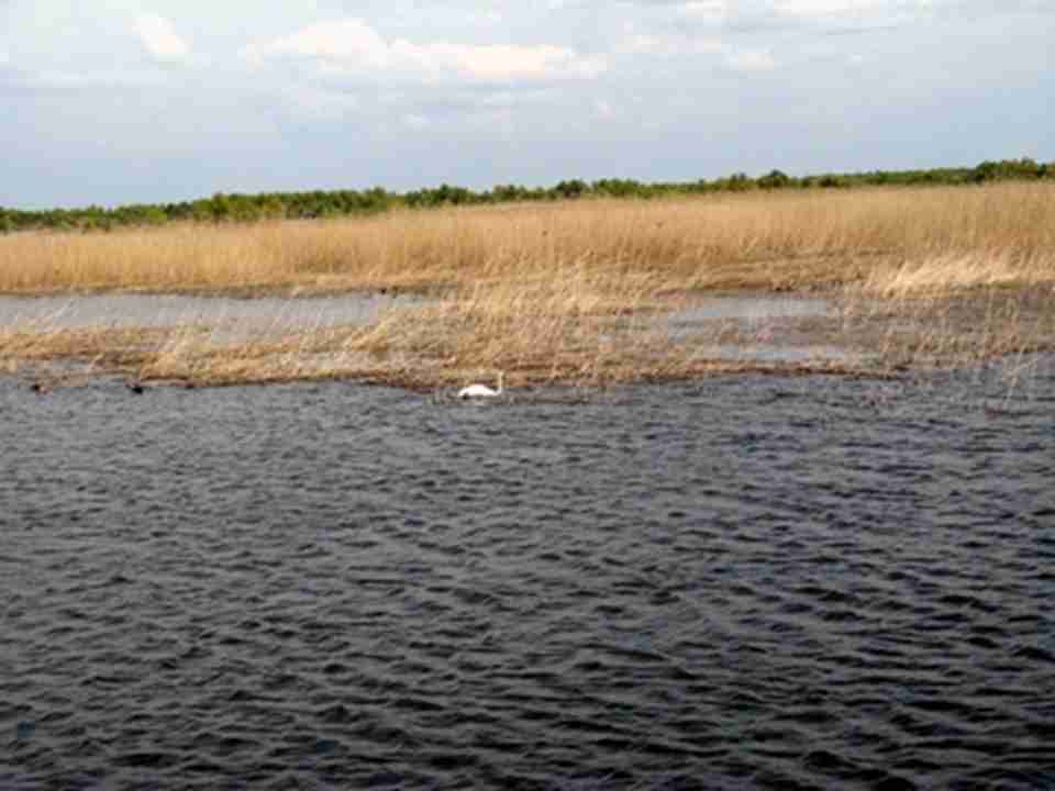 ��̬��������