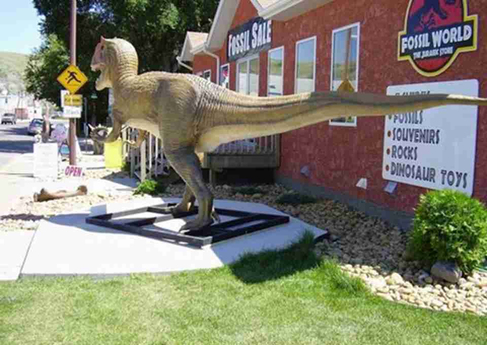 �󲿷ֹ�����Ʒ�Ѿ��ӹ�԰�ᵽ��԰�����Ļʼ�̩���������ﲩ��ݰ����仧