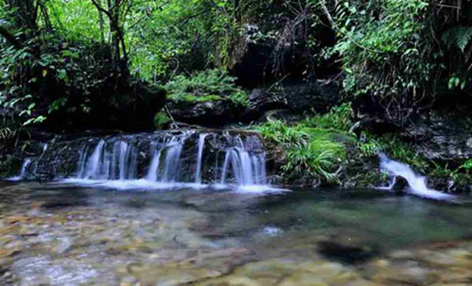 ���صĵ�����ò