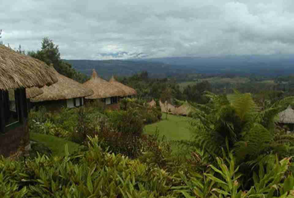 �����������Σ�Ų�Ŀ¼������ɽ��Ȼ������