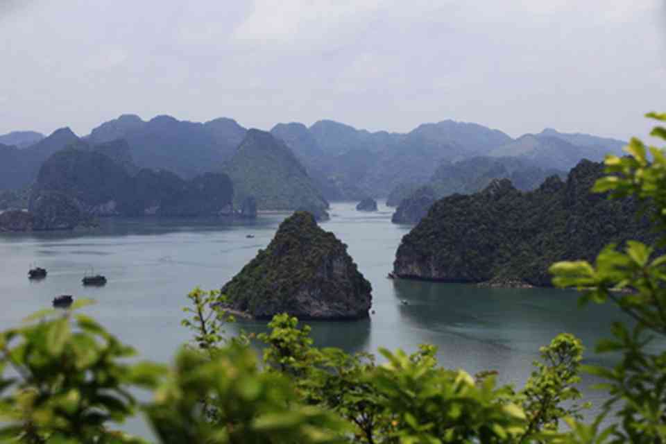 ���������õ�