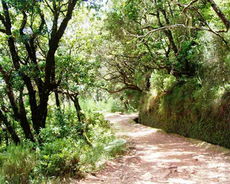 �������¹�����԰�ּ�С·