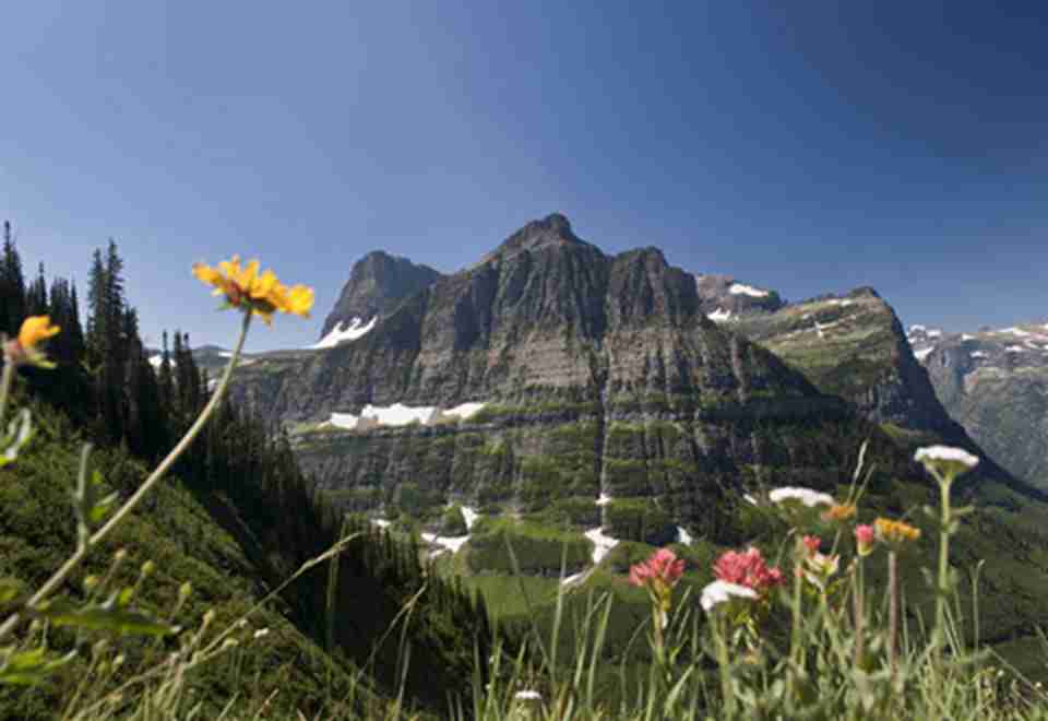 �������ҹ�԰λ�������ɴ����ݱ�������ô��������Ĺ�������