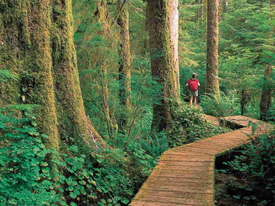 ���ضٱ������ʺ�ƽ��԰�������˴���Ȼ���ص�����