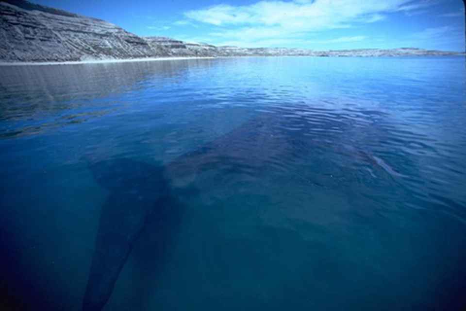 �����Ĵ󺣷·�����չ����һ��޴�����΢���𴦣���ʱ����ƬƬ����