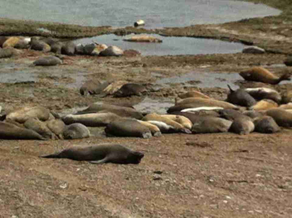 �����ں�̲����ĺ�����˵��̲Ϳ��к��������Ҫ����Ϣ��