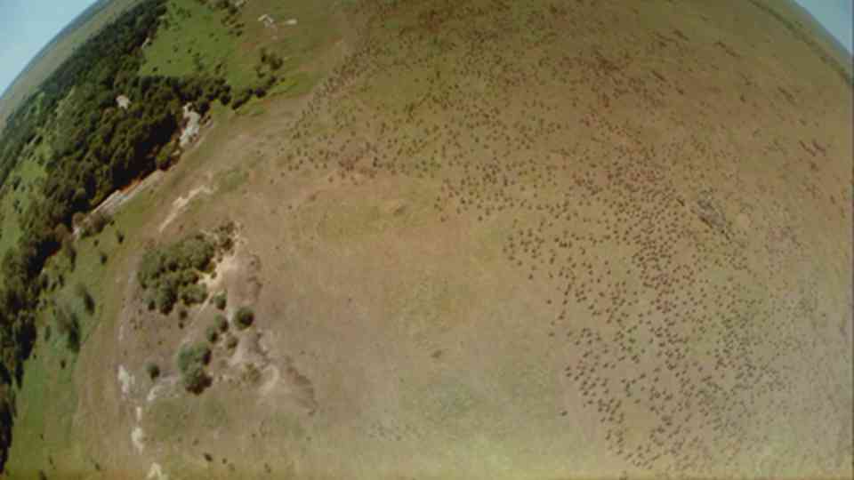 ���׸ǵٹ��ҹ�԰�ǧ��������ʽ��Ǩ��