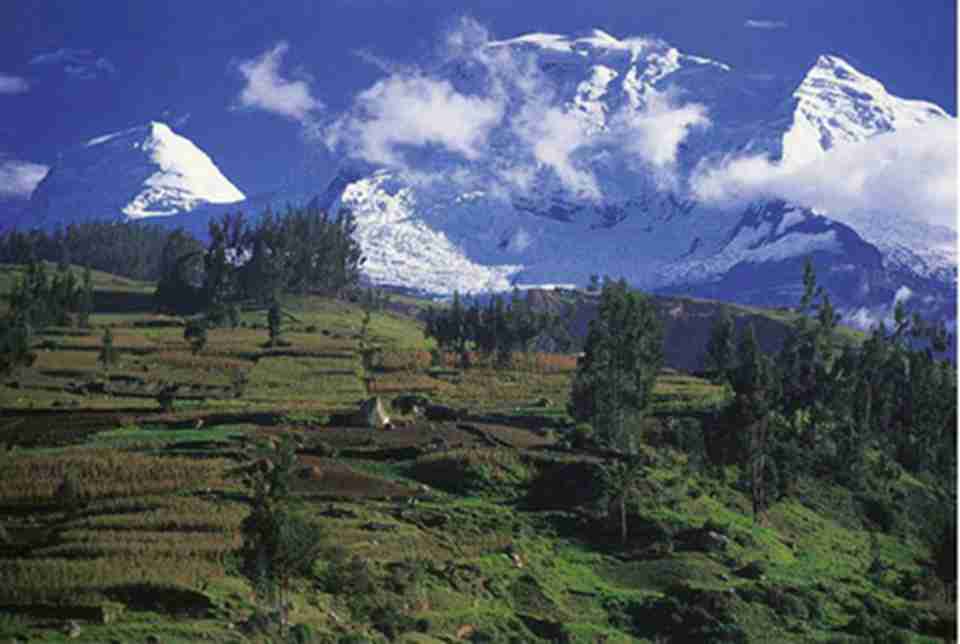 �����쳣����˹�������ҹ�԰